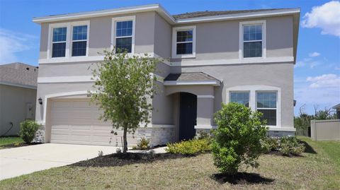 Photo of 3813 Lively Coral Place, Bradenton, FL 34208 (MLS # A4692275)