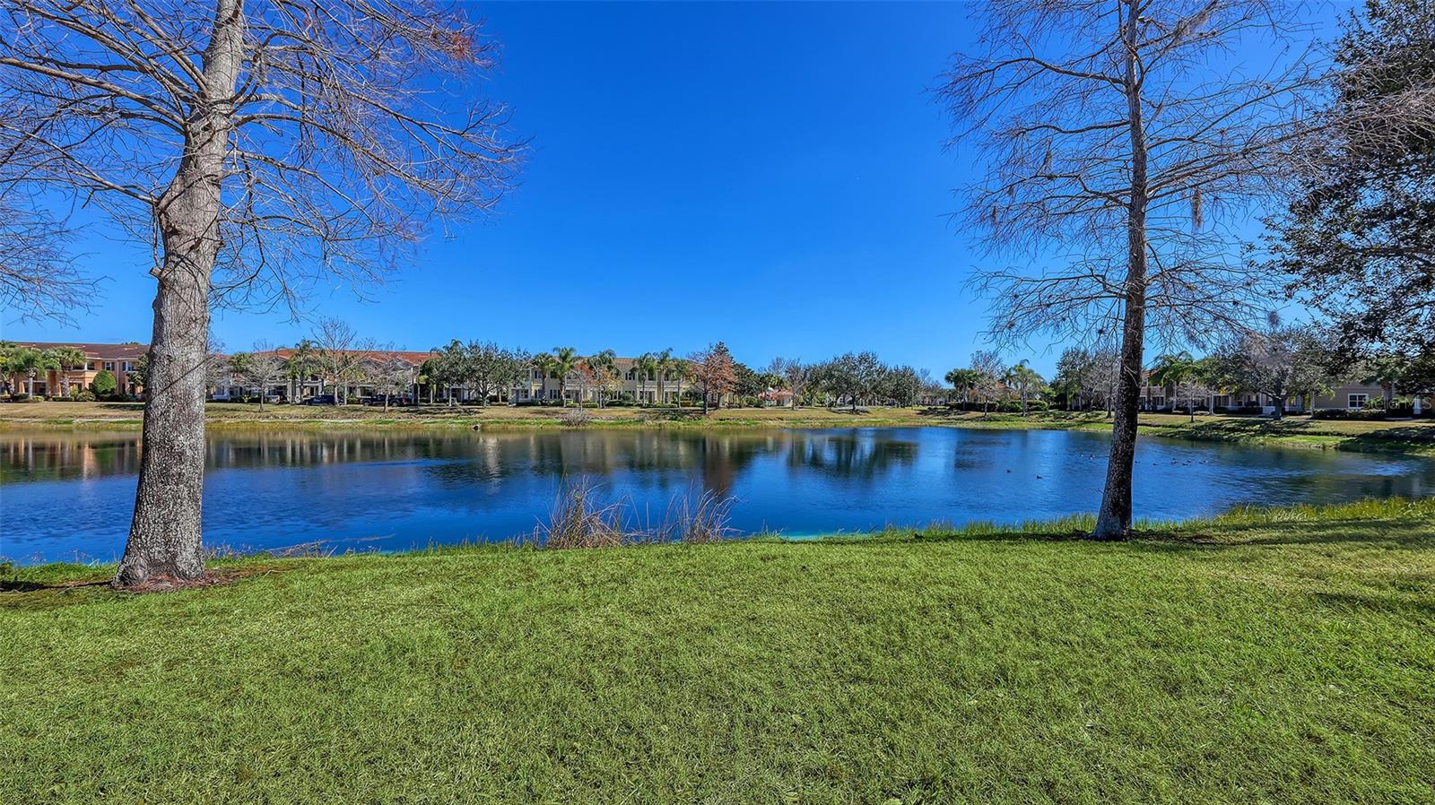 SAN MICHELE AT UNIVERSITY COMMONS - Residential