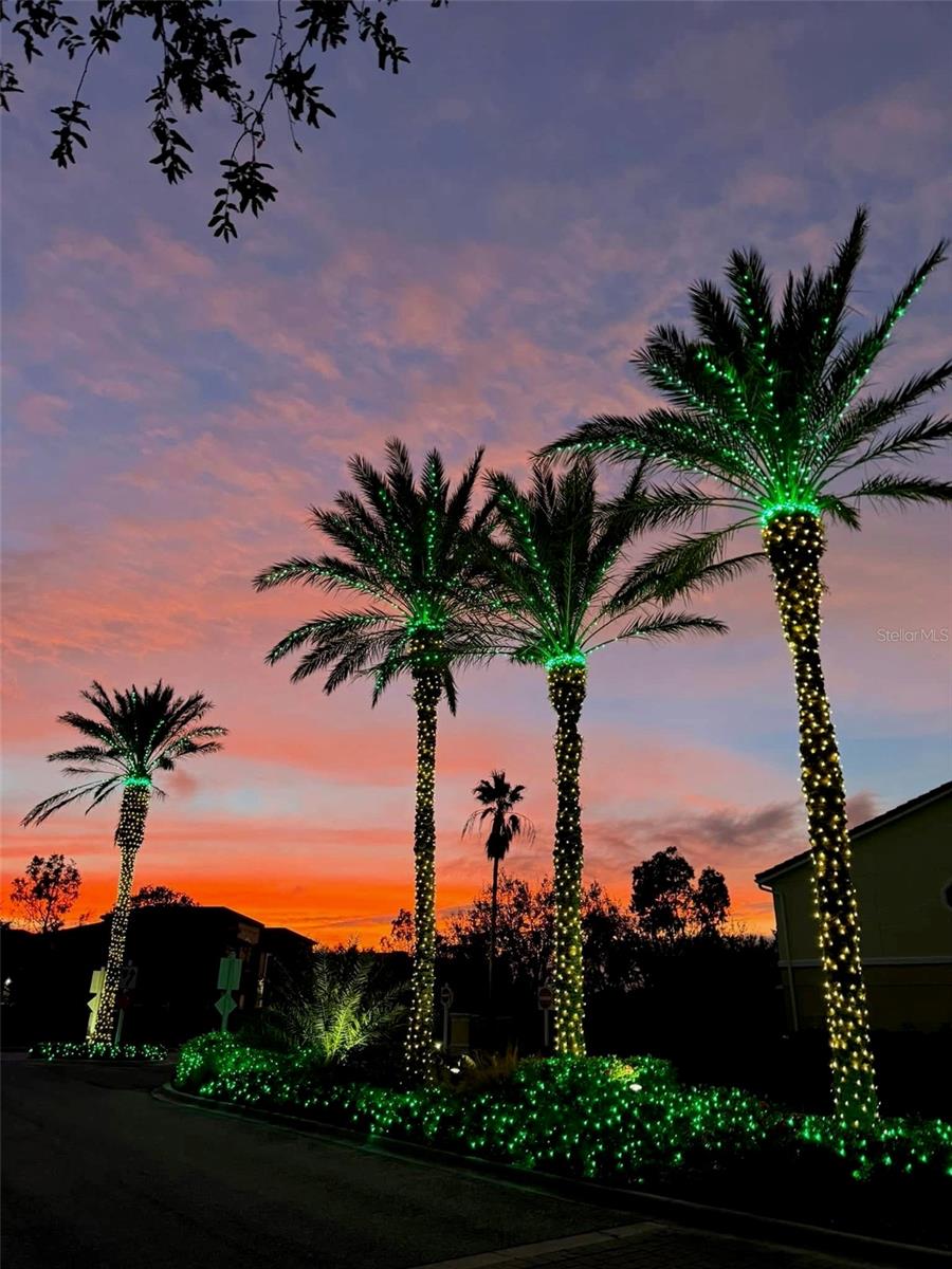 SAN MICHELE AT UNIVERSITY COMMONS - Residential