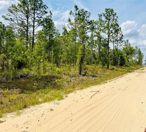 0000 NE 132 TERRACE TERRACE WILLISTON FL 32696