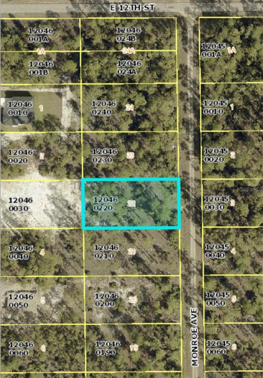 Beautiful half acre lot located in developing Lehigh Acres subdivision. This is the perfect opportunity to build your dream home located minutes from the airport and the beach. Easy access to schools, banks, shopping, and I-75. North parcel next door also listed separately for a total of 1 acre if purchased together.