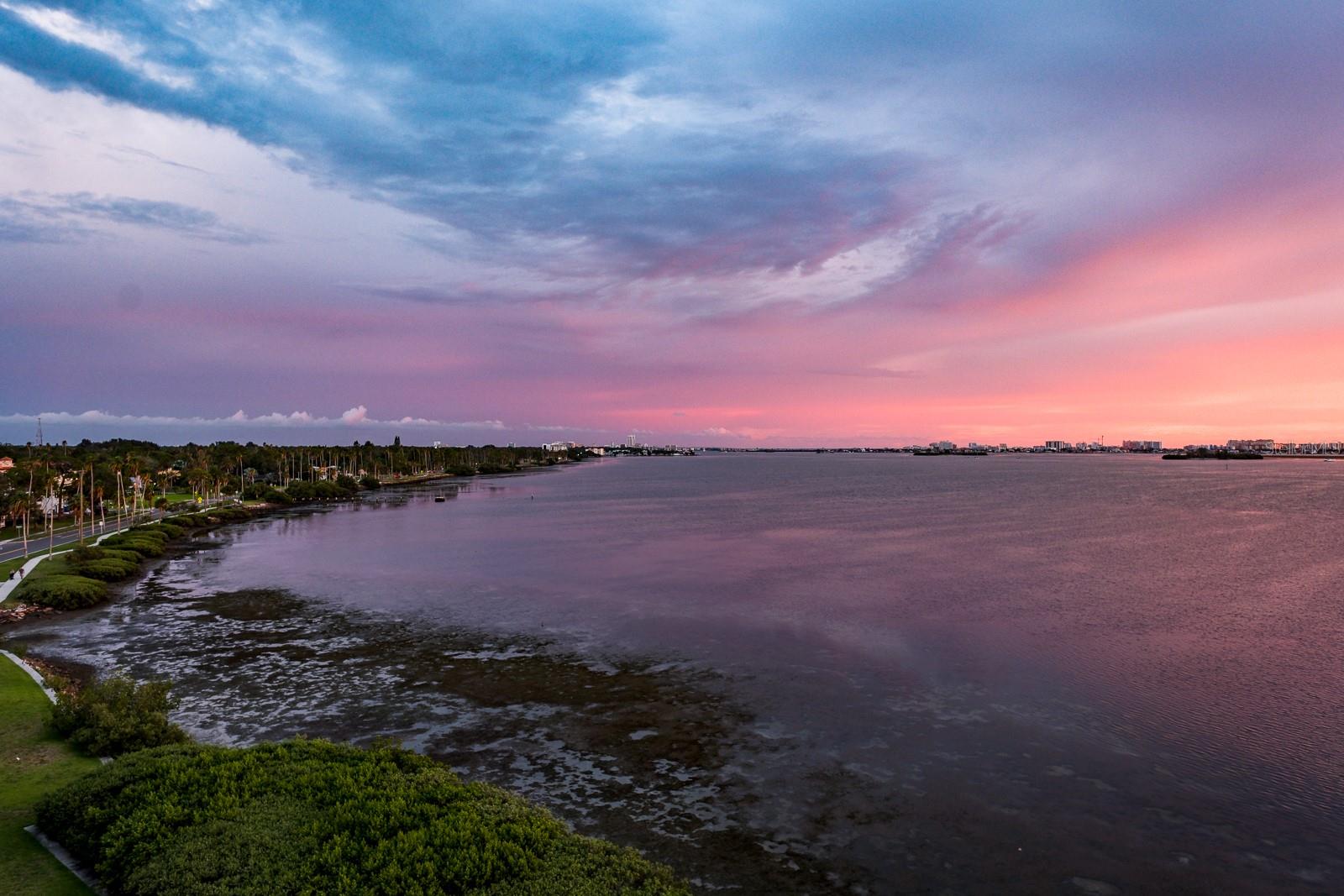 DUNEDIN GRAND THE CONDO - Residential