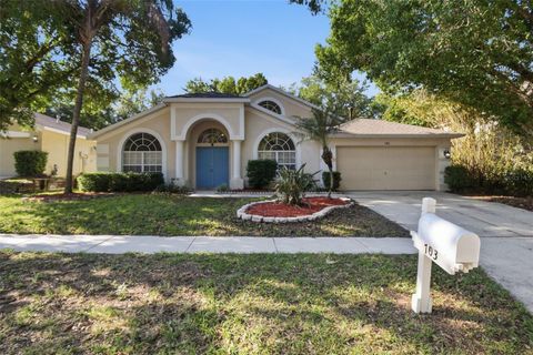 Photo of 703 Grand Canyon Drive, Valrico, FL 33594 (MLS # O6400606)