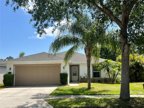 519 AEOLIAN DRIVE NEW SMYRNA BEACH FL 32168