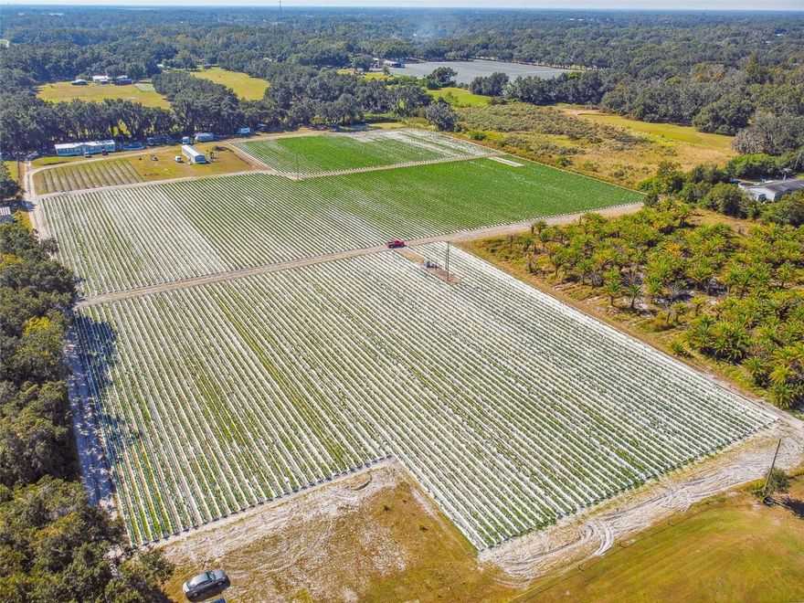 A perfect opportunity to own this beautiful 10.59 acres in the country but still very close to the city. This property is high and dry land and consist of 5 separate parcels. This is a great opportunity to have a small farm or development. Currently the land is used for farming crops and has a 4 inch well and a pump near the pond to use water from the pond. Since this property consist of 5 parcels, you can keep one to build your dream home and then develop on the other 4 parcels and sell them. Call for your private showing. This will not last long!