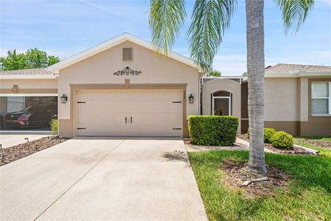 Photo of 7307 Cleopatra Drive, Land O Lakes, FL 34637 (MLS # W7886436)