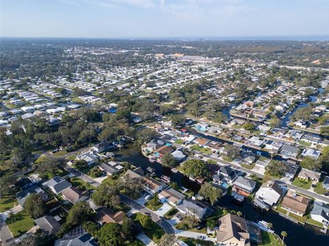 A home in PALM HARBOR