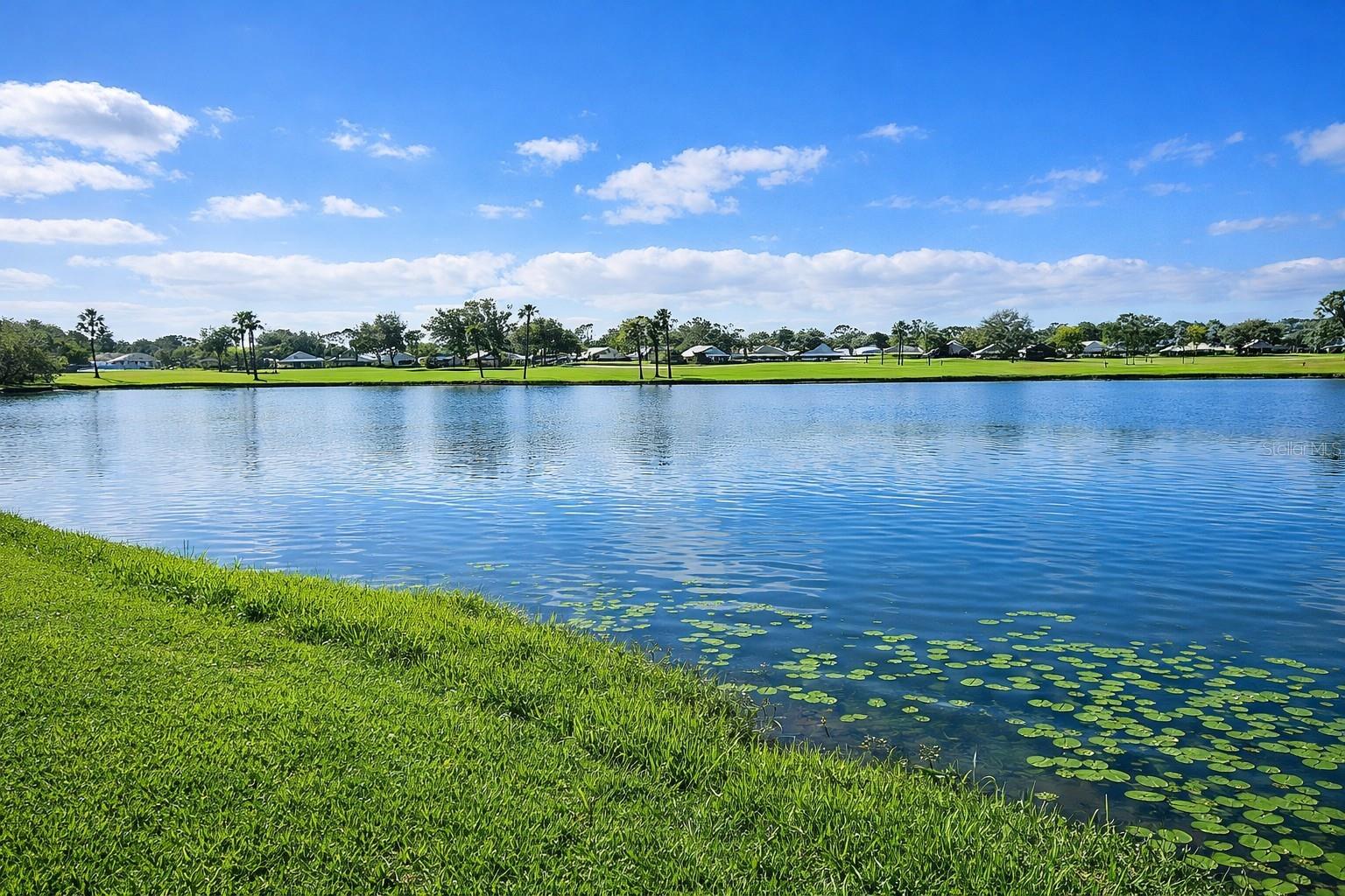 LYNWOOD GLEN - Residential