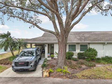 Photo of 1015 Harefield Circle, Sun City Center, FL 33573 (MLS # TB8477852)