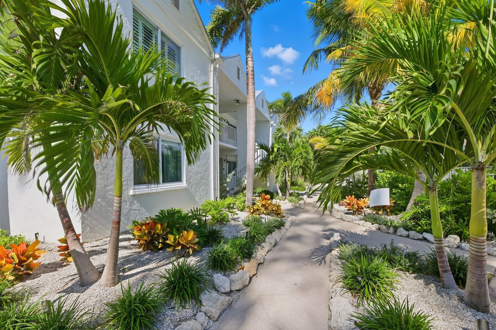 COCONUTS - Residential