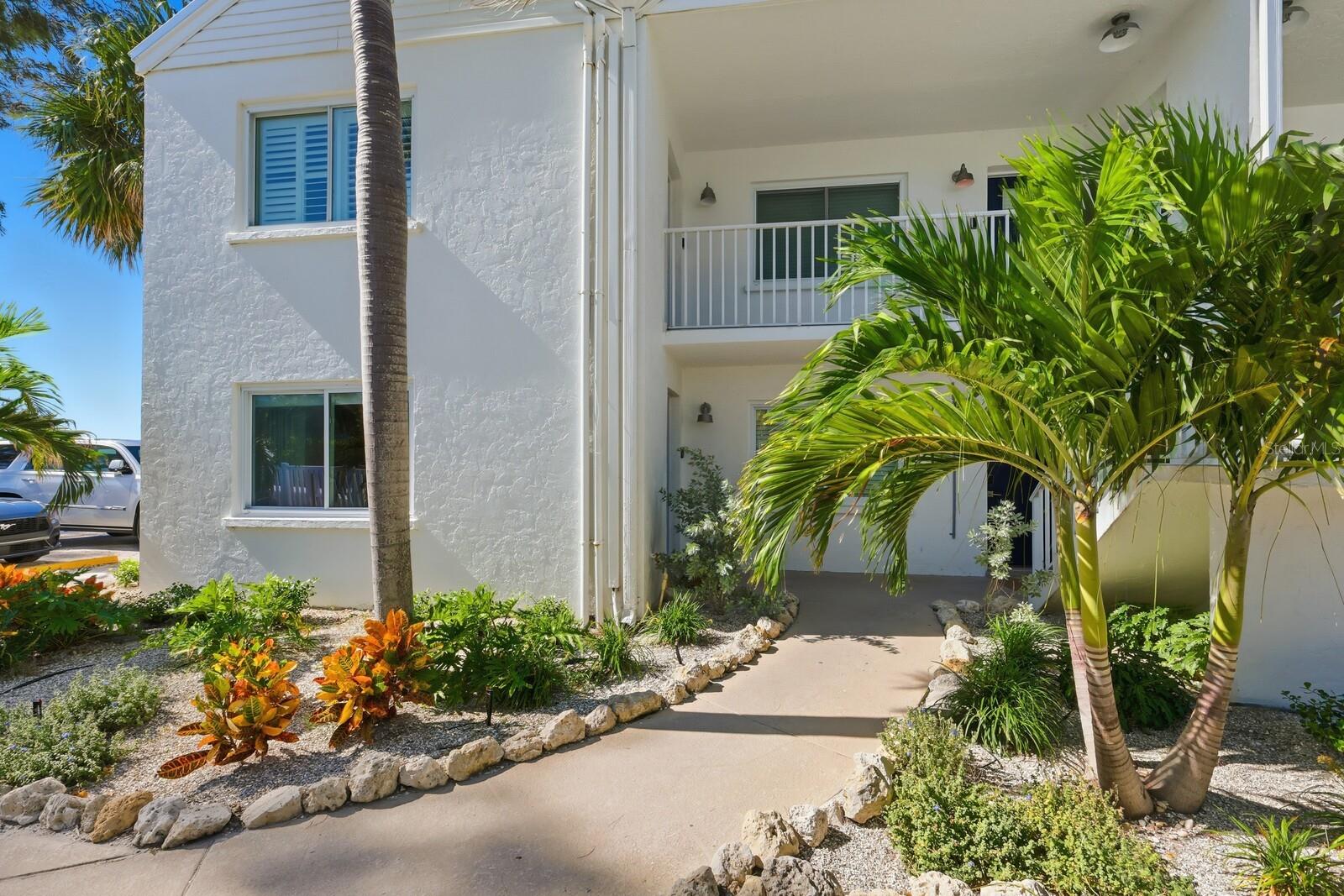 COCONUTS - Residential