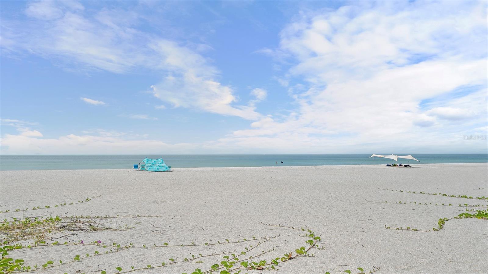 COCONUTS - Residential