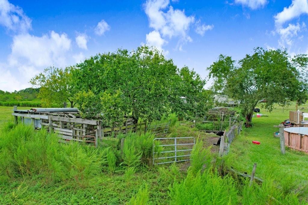 SUNRISE MEADOWS - Residential