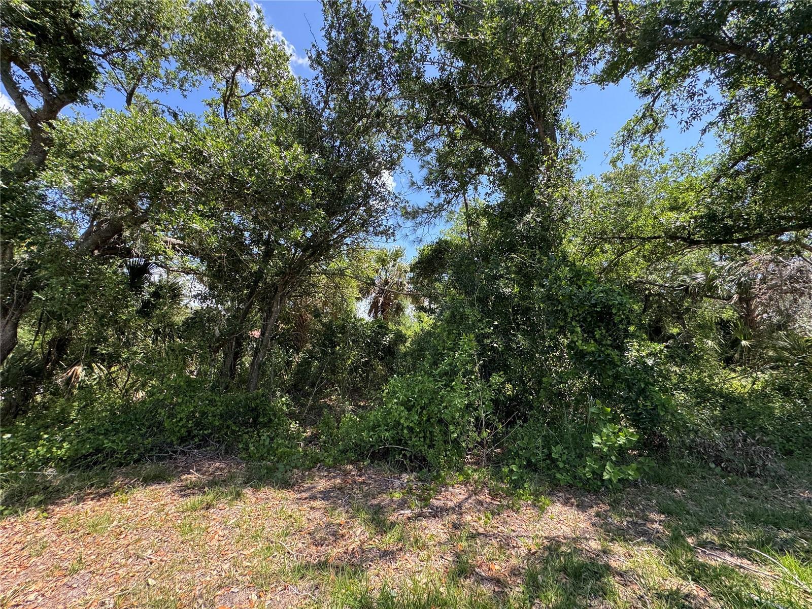 PORT CHARLOTTE SUB 30 - Land