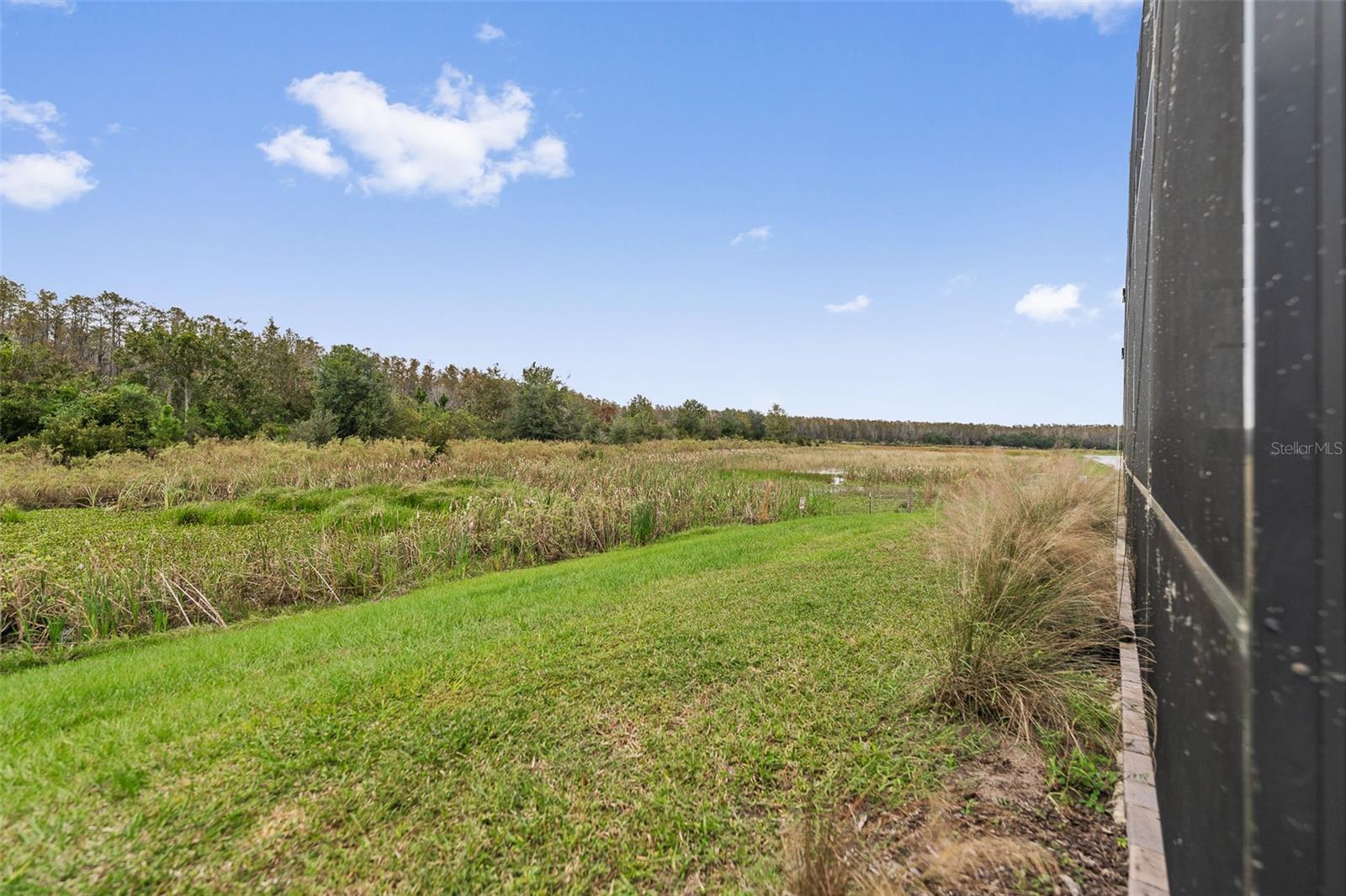 COVE AT STOREY LAKE 4 - Residential