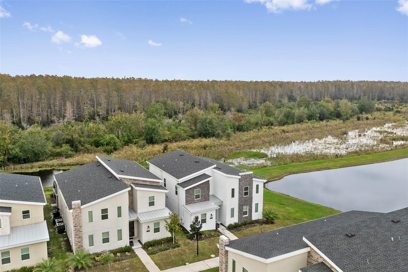 COVE AT STOREY LAKE 4 - Residential
