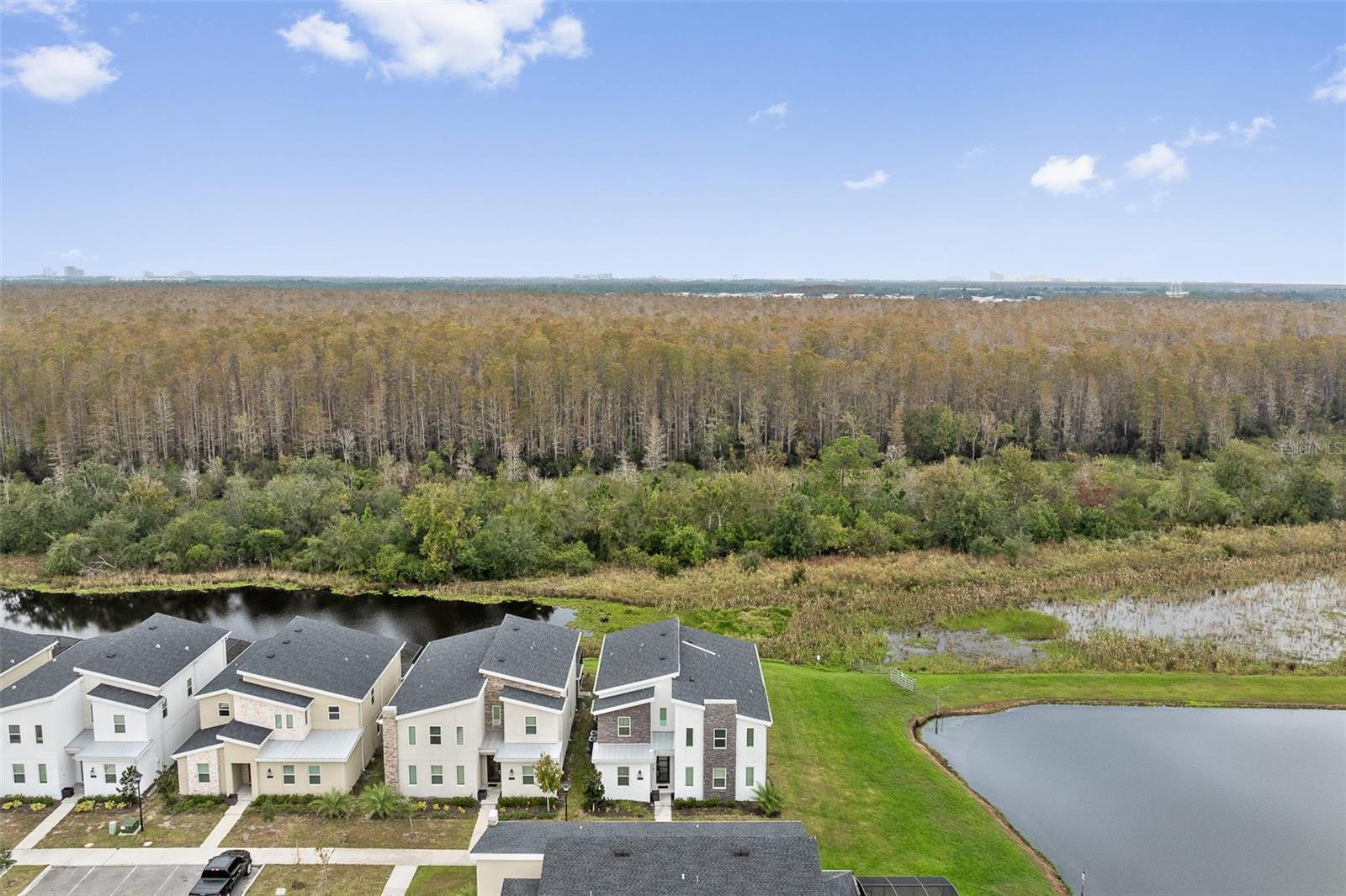 COVE AT STOREY LAKE 4 - Residential