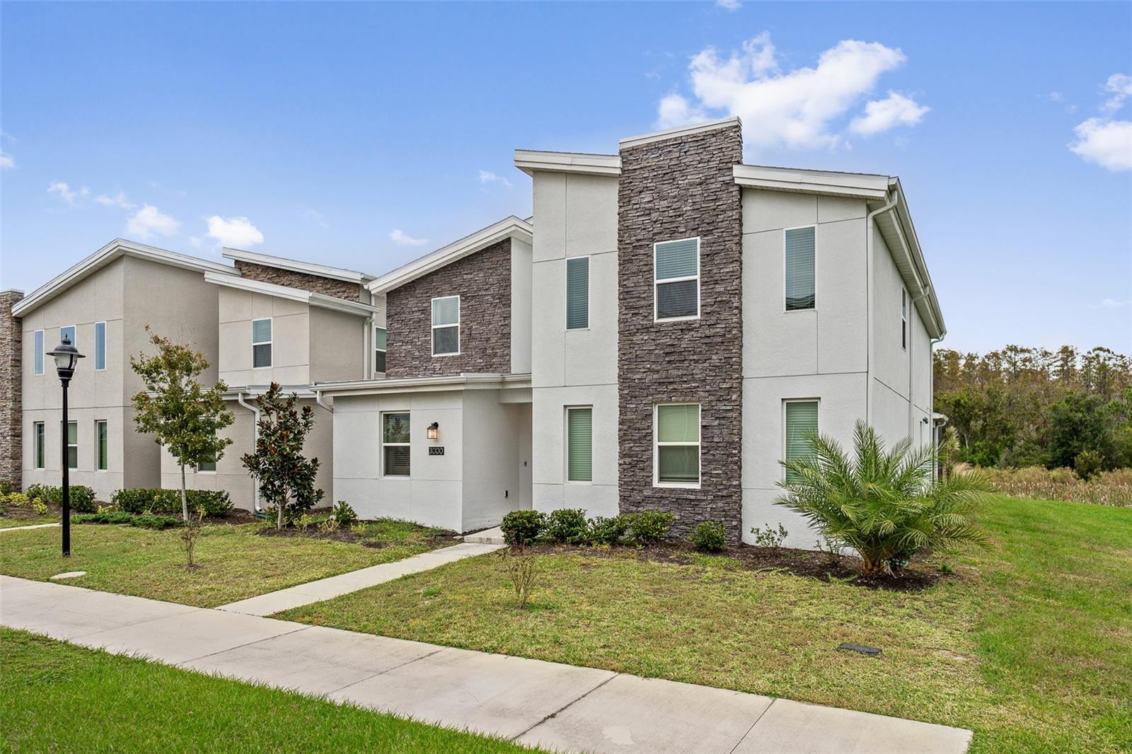 COVE AT STOREY LAKE 4 - Residential