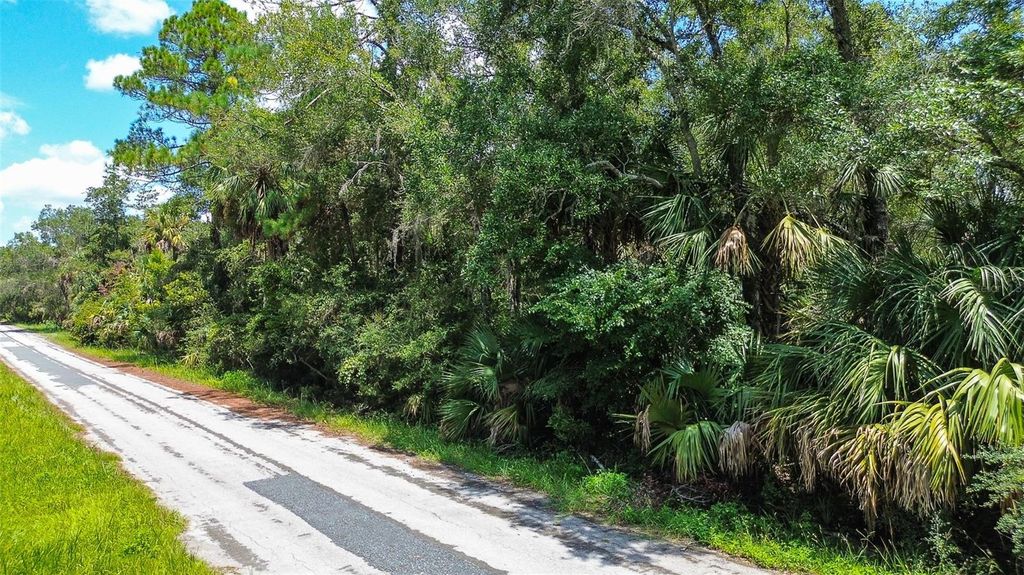 Photo of 8683 N Bellflower Way, Crystal River, FL 34428 (MLS # TB8419504)