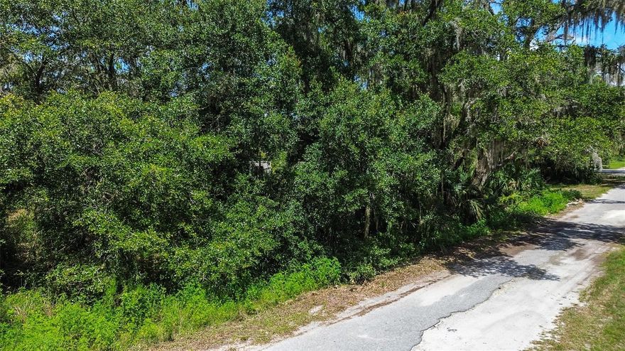 Prime Land Opportunity in Crystal River, FL

Located at 8683 N Bellflower Way in the desirable Crystal Manor Unit #2 subdivision, this 1.05-acre parcel is an excellent investment opportunity. this lot offers a serene, spacious setting with 150 feet of road frontage.

The property is zoned for low-density residential (LDR), making it a perfect site for your future home or investment property. With a total size of 45,795 sq ft, there’s ample space to build and enjoy privacy while being close to local amenities.

This lot is in Flood Zone A, with annual taxes totaling just $118 for 2025. It is conveniently located between US 1 and the beautiful Crystal River, offering easy access to the area's attractions, schools, and services.

This property offers both peace and convenience, with Crystal River Primary, Middle, and High Schools all just a short drive away. Whether you're looking to build your dream home or secure a valuable piece of land in a growing area, this property is full of potential.