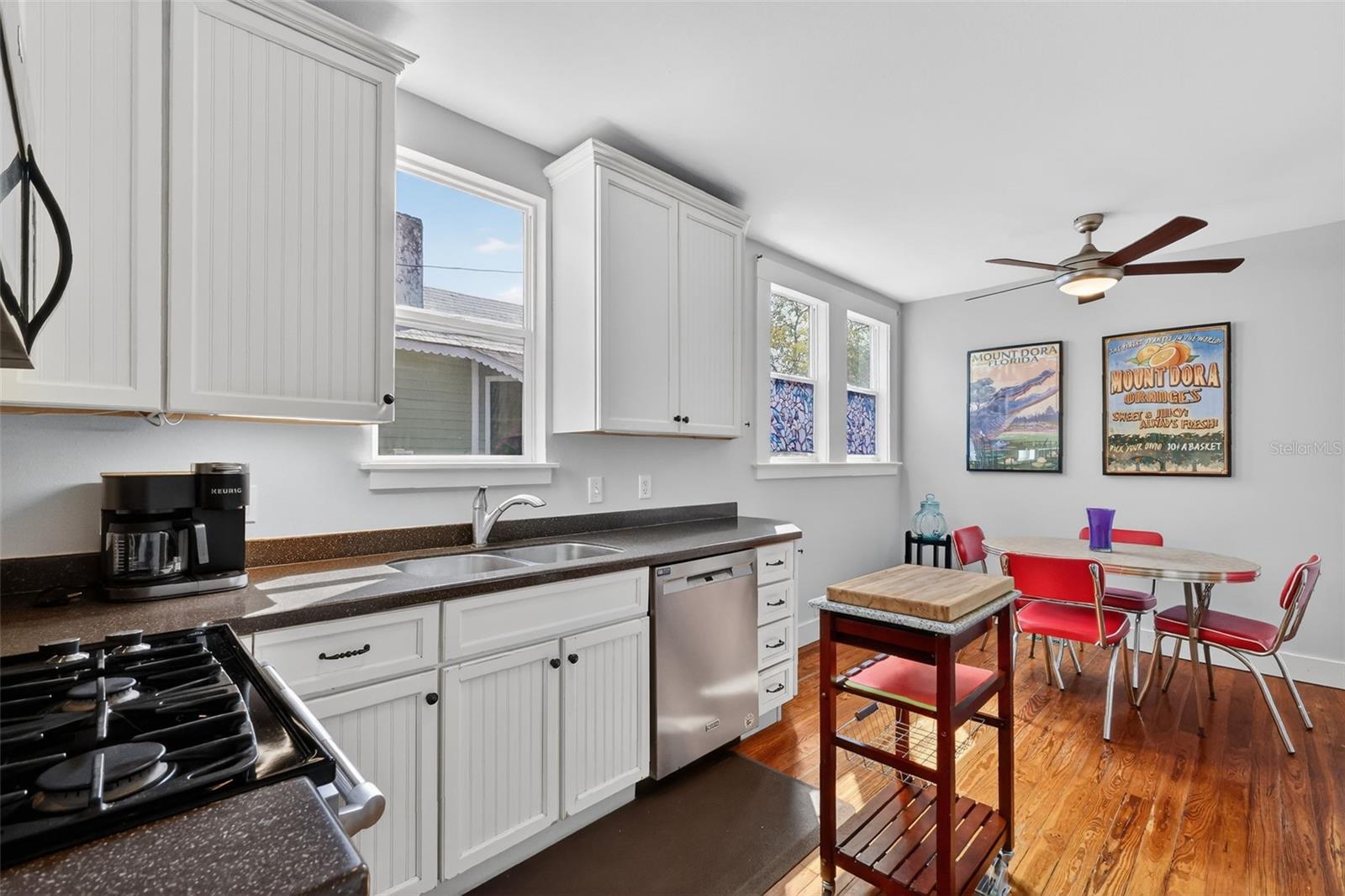 MOUNT DORA - Residential