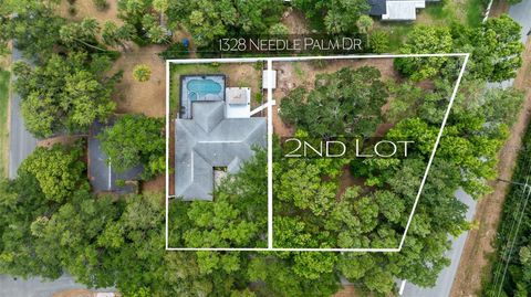 NEEDLE PALM DRIVE EDGEWATER FL 32132