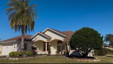 A home in THE VILLAGES