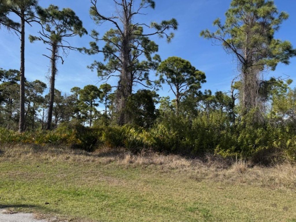 Photo of 102 Beryl Drive, Rotonda West, FL 33947 (MLS # A4683289)