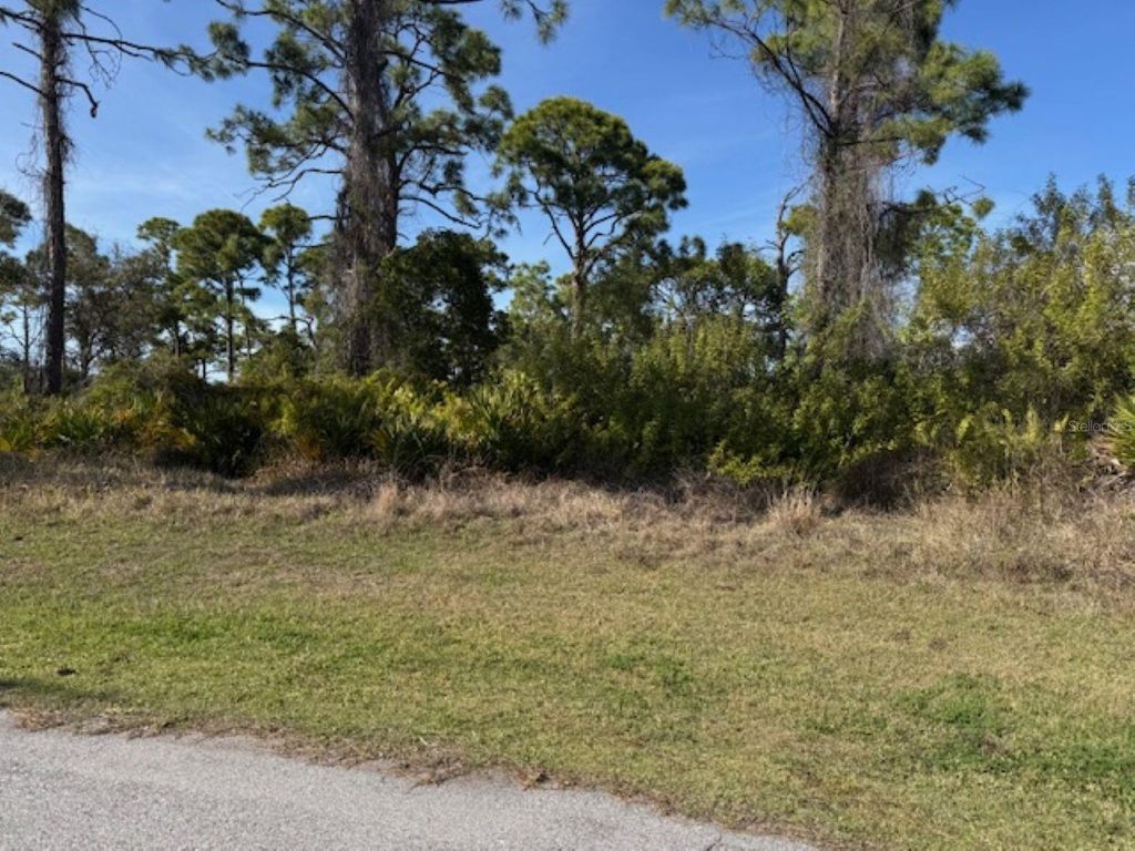 Photo of 102 Beryl Drive, Rotonda West, FL 33947 (MLS # A4683289)