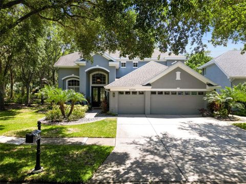 11723 GOTHIC LANE TAMPA FL 33626