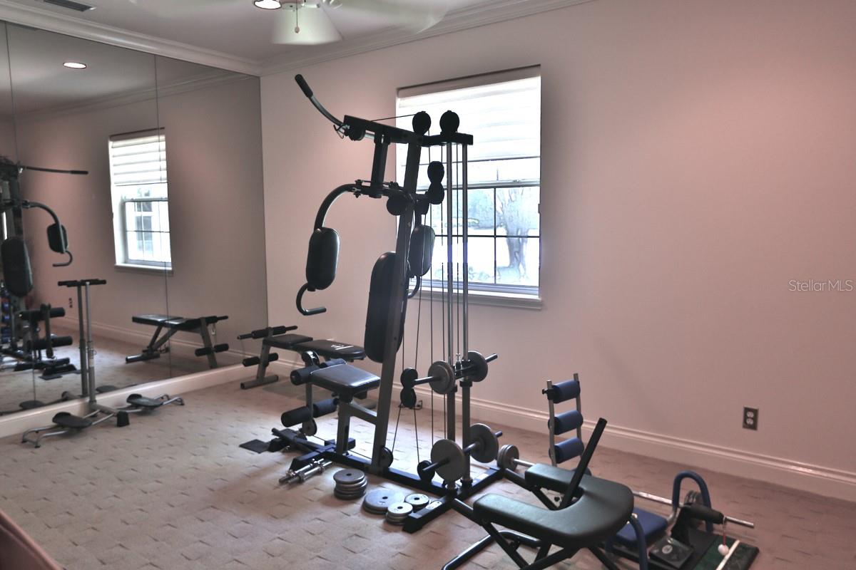 POLO LANE - Residential