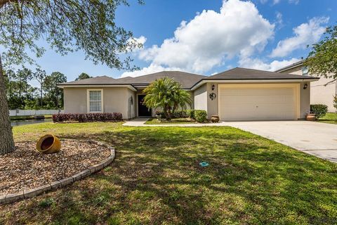 A home in PALM COAST