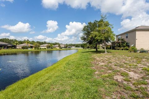 A home in PALM COAST