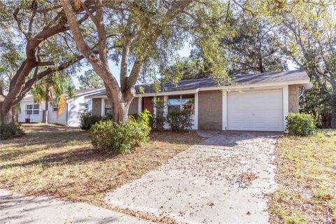 A home in TARPON SPRINGS