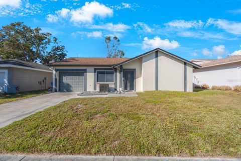 A home in PALM HARBOR