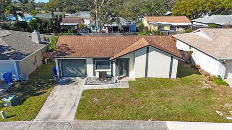 A home in PALM HARBOR