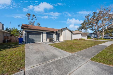 A home in PALM HARBOR