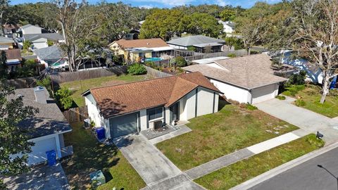 A home in PALM HARBOR