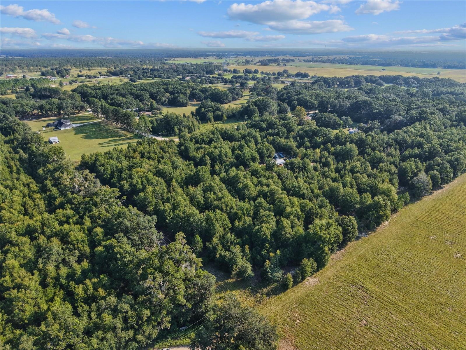 KING RANCH/FLORIDA RANCHETTES - Land