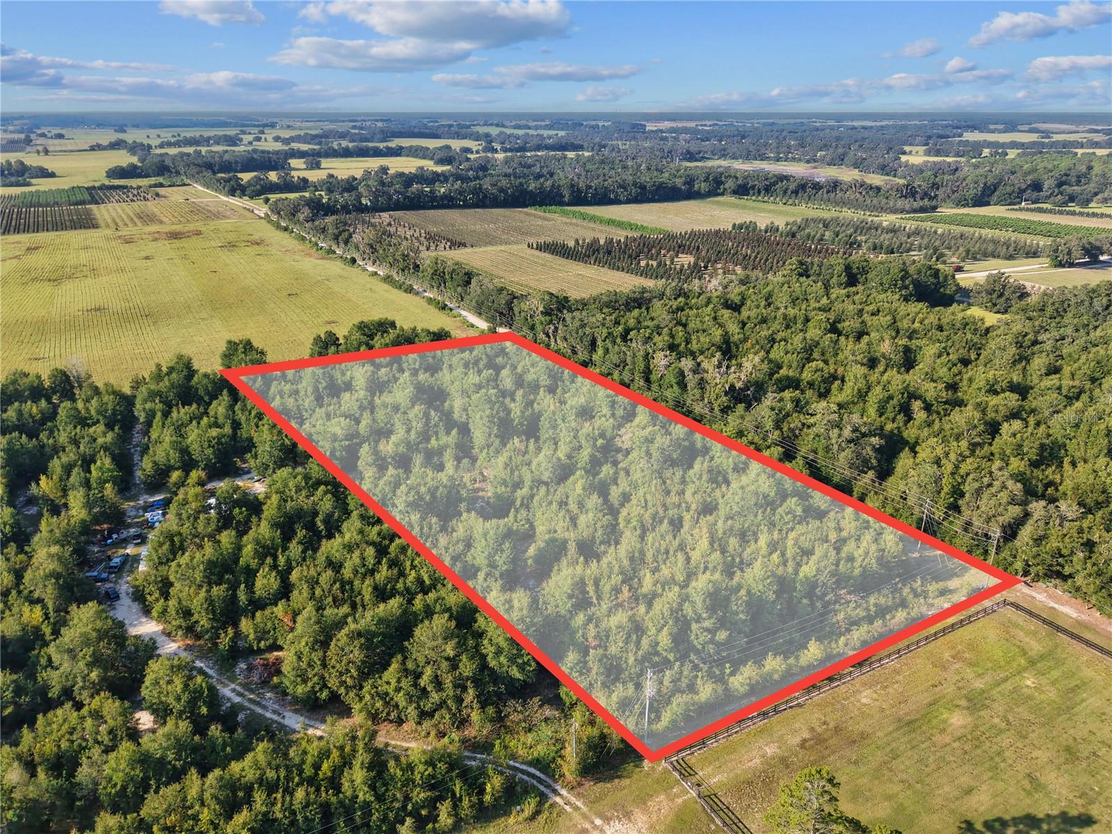 KING RANCH/FLORIDA RANCHETTES - Land