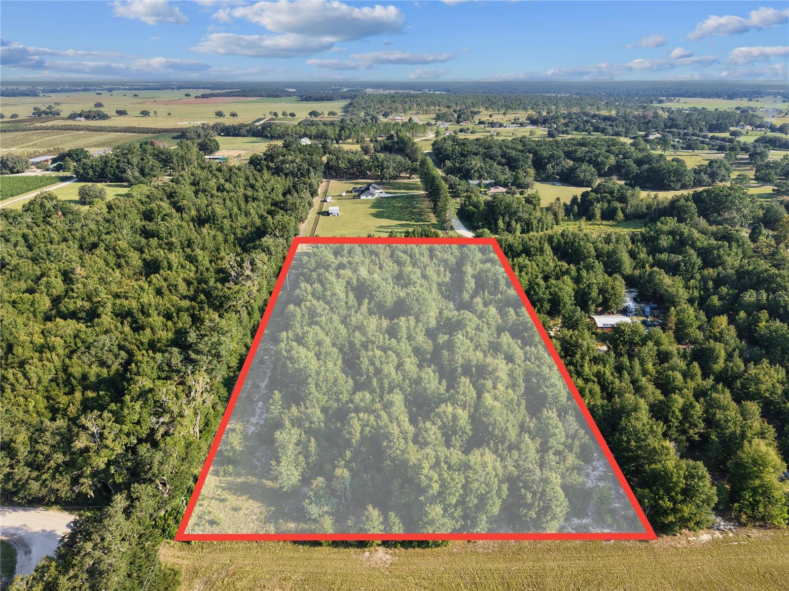 KING RANCH/FLORIDA RANCHETTES - Land