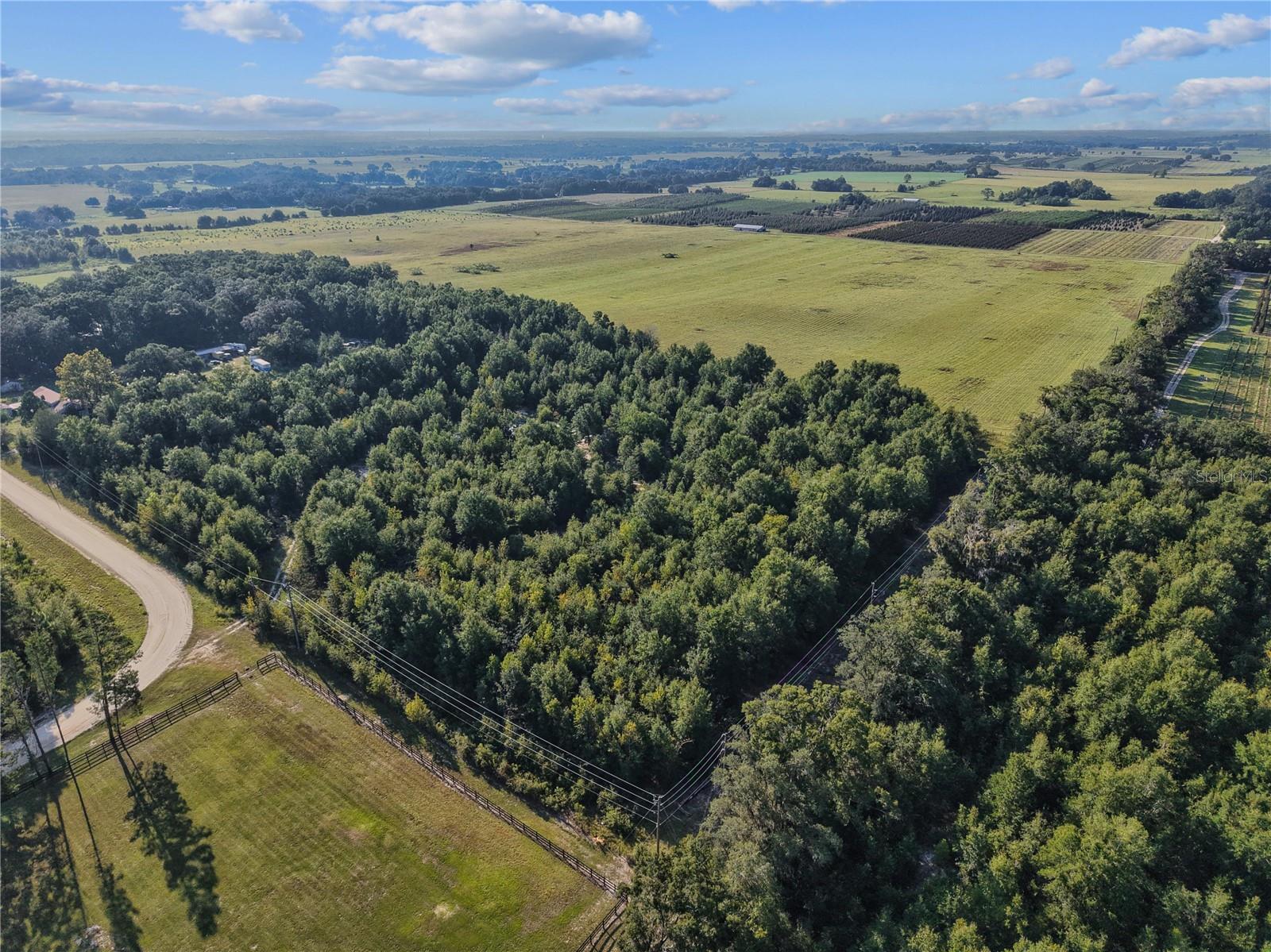 KING RANCH/FLORIDA RANCHETTES - Land