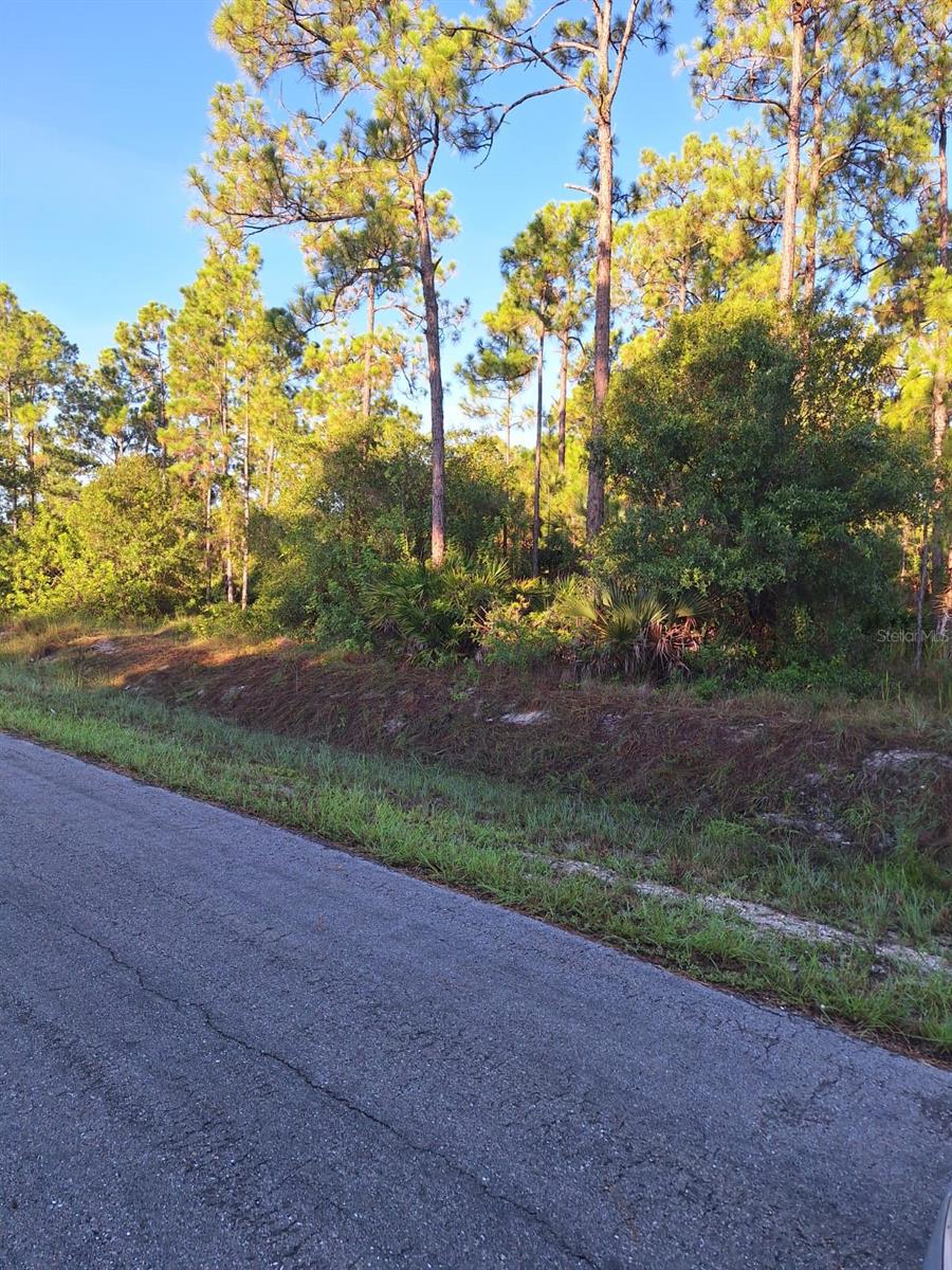 Unlock your dream property in Lehigh Acres, Florida! Imagine owning a beautiful piece of land in one of Southwest Florida's most promising areas, perfect for building your dream home, investing in a lucrative venture, or simply owning a slice of paradise. With its prime location, development potential, and natural beauty, this land offers endless possibilities. Contact us today to learn more and schedule a viewing