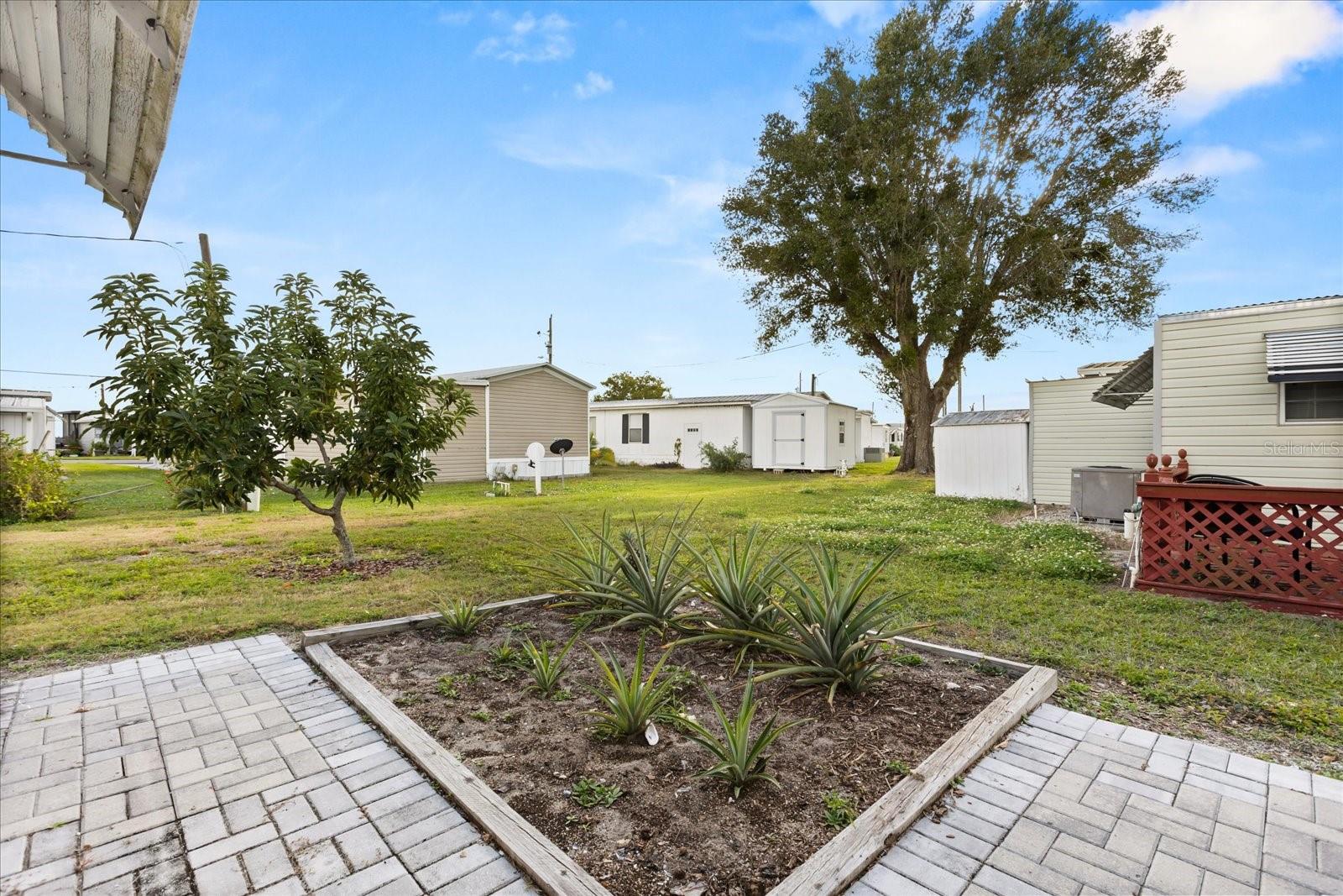 TAVARES TAVARES - Residential