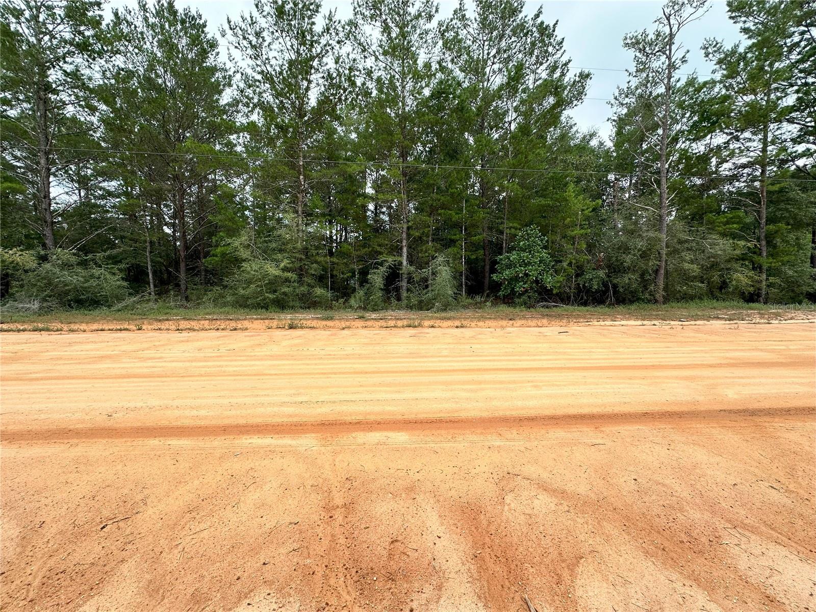Situated in the heart of Defuniak Springs, this residential ot measures 80 by 123 feet and offers access to city water. Located outside the flood zone, with no wetlands or protected species on site, this lot is shovel-ready and primed for development. Seller financing, Low down payments, flexible terms up to 6 years, and fixed monthly payments. Quick approval with no banks. Build equity you can later use to build your home with us. Try our payment calculator online or call us to learn more about our financing options. Rich in history with a downtown centered around a spring-fed lake, DeFuniak Springs, 45 miles northeast of Destin in the Florida Panhandle, offers a relaxed, small-town atmosphere and the chance to step back in time and see hundreds of historic homes and buildings. Chipley Park and Lake DeFuniak, a popular spot for boating, birding, fishing, and swimming, visitors can enjoy views of the spring-fed lake, go paddling, and fish from the pier or boat.