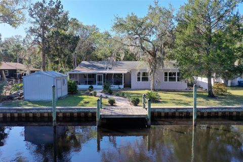 A home in ORMOND BEACH