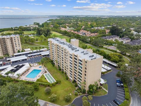 2621 COVE CAY DRIVE 407 CLEARWATER FL 33760