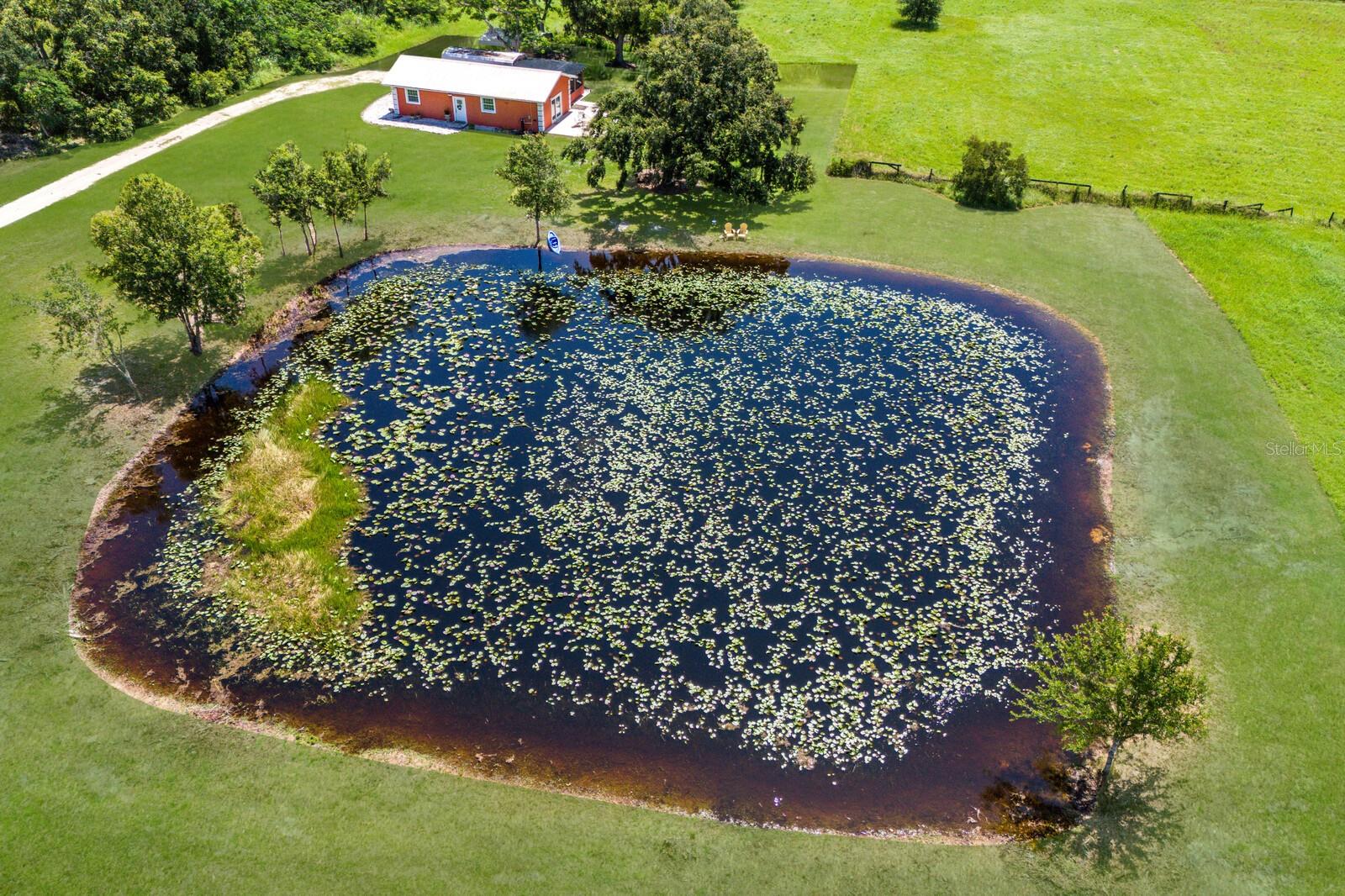 NOT IN SUBDIVISION - Residential