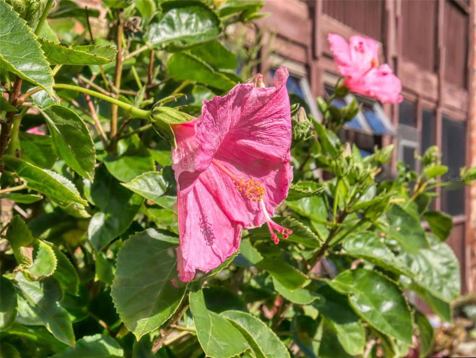 CORONADO COVE 01 - Residential