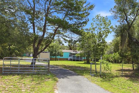 Photo of 44238 Forest View Road, Deland, FL 32720 (MLS # O6417439)